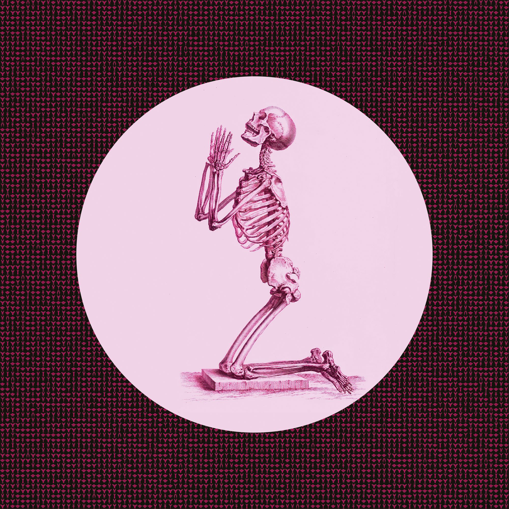 KATHARSIS - Supplice des vanités